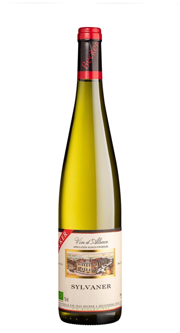 Elsass Sylvaner 2021 – Bild 1